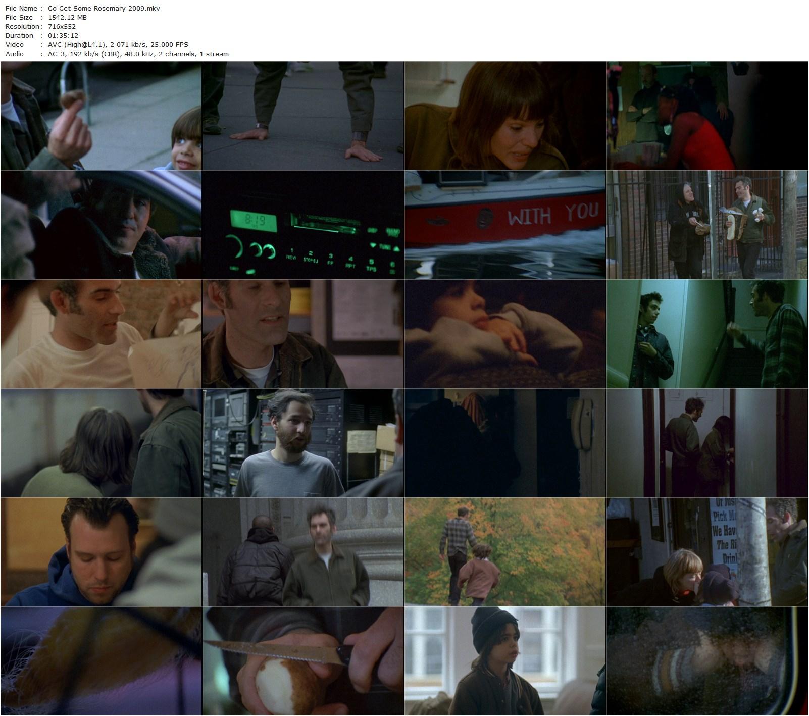 Go Get Some Rosemary AKA Daddy Longlegs (2009) Ben Safdie, Ronald Bronstein, Alex Greenblatt, Sage Ranaldo-poster