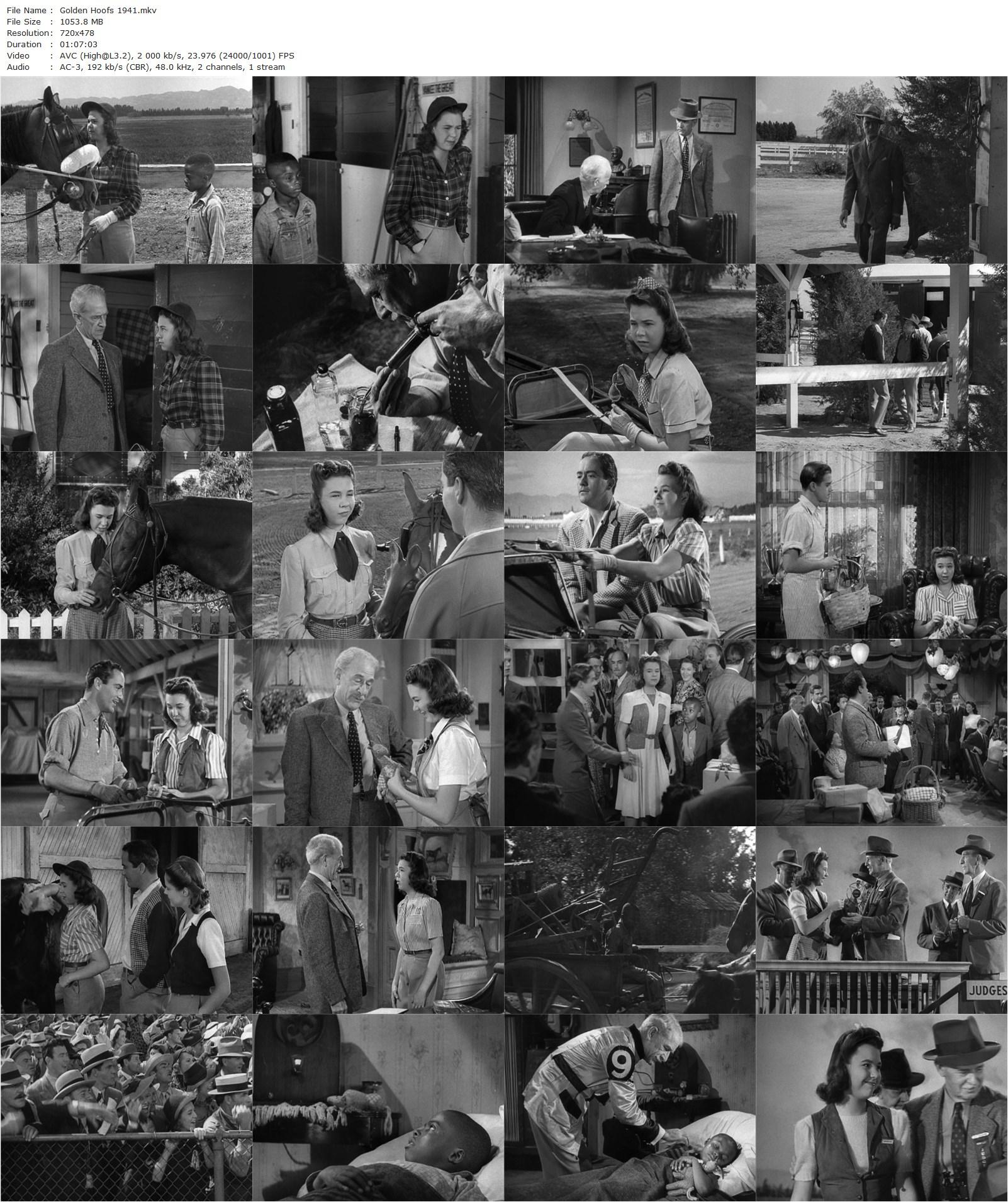 Golden Hoofs (1941) Lynn Shores, Jane Withers, Charles ‘Buddy’ Rogers, Kay Aldridge-poster