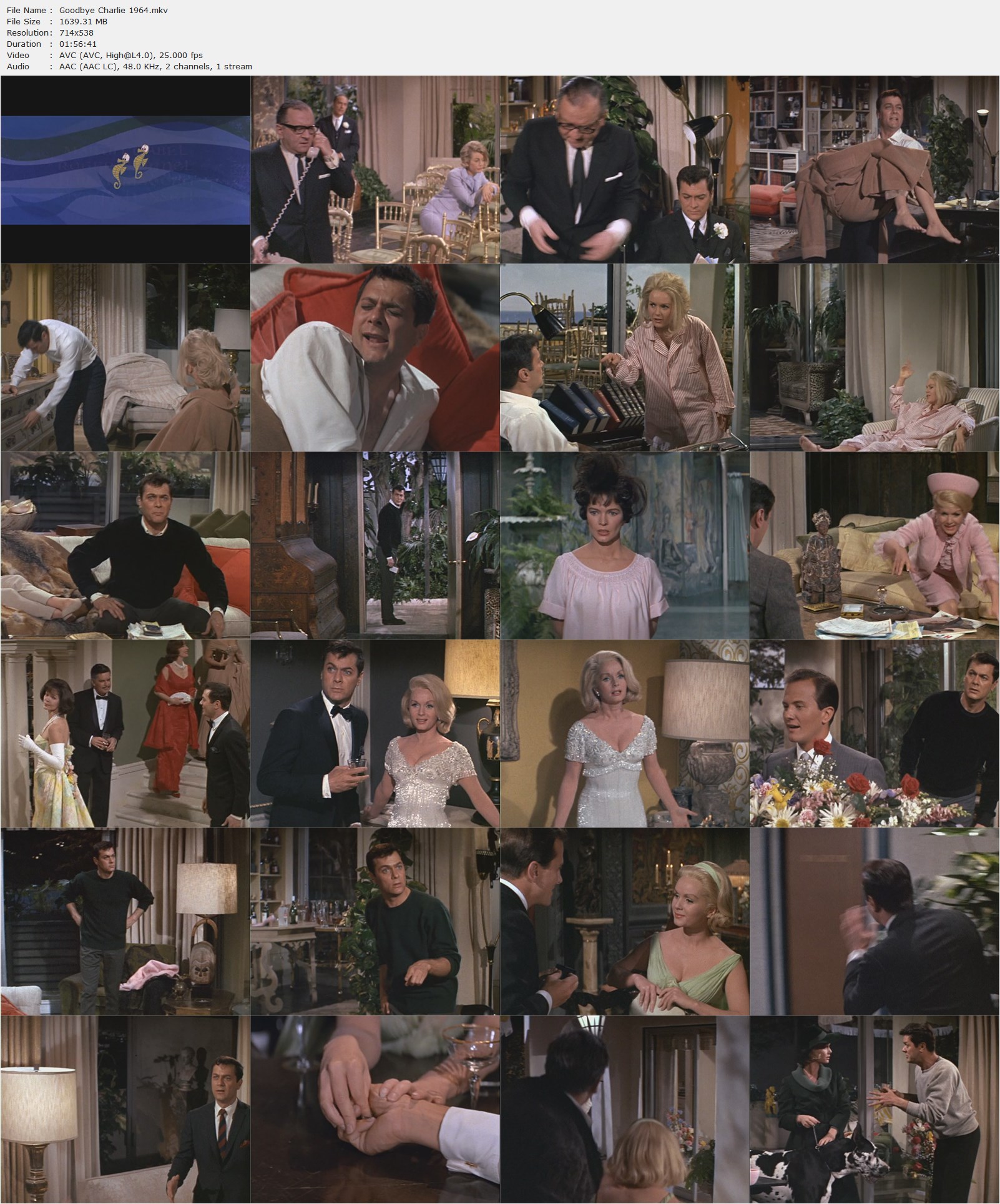 Goodbye Charlie (1964) Vincente Minnelli, Tony Curtis, Debbie Reynolds, Pat Boone, Comedy, Fantasy, Romance-poster