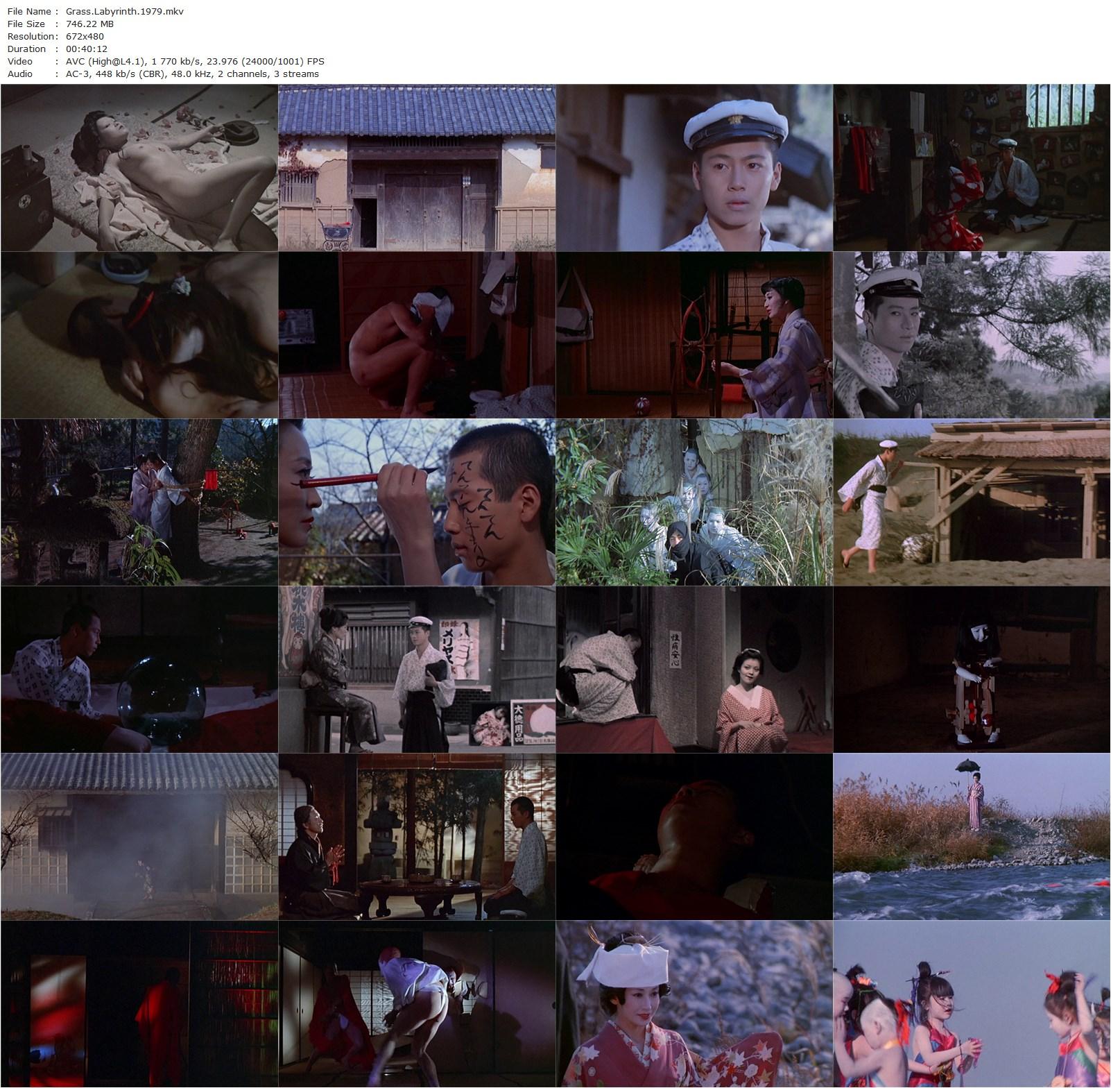 Grass Labyrinth AKA Kusa-meikyû (1979) Shûji Terayama, Hiroshi Mikami, Takeshi Wakamatsu, Keiko Niitaka-poster