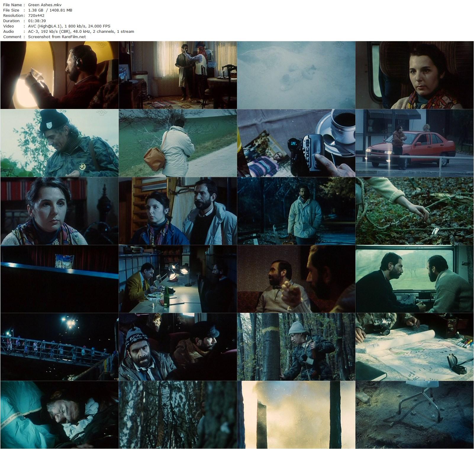 Green Ashes / Khakestar-e sabz (1994) Ebrahim Hatamikia, Atila Pesiani, Zlata Plsková, Barbora Bobulova-poster