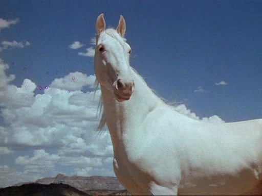 Green Grass of Wyoming (1948) Louis King, Peggy Cummins, Charles Coburn, Robert Arthur-poster