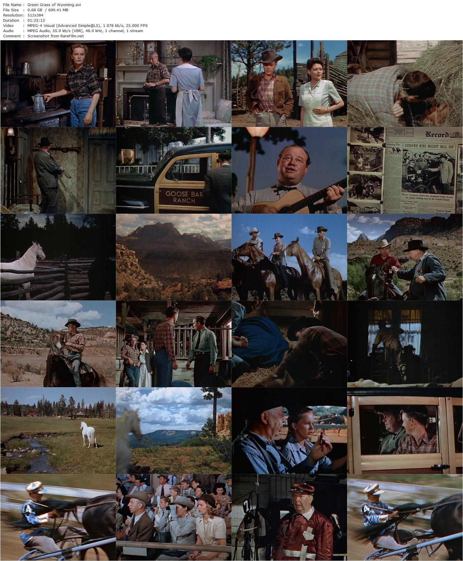 Green Grass of Wyoming (1948) Louis King, Peggy Cummins, Charles Coburn, Robert Arthur-poster