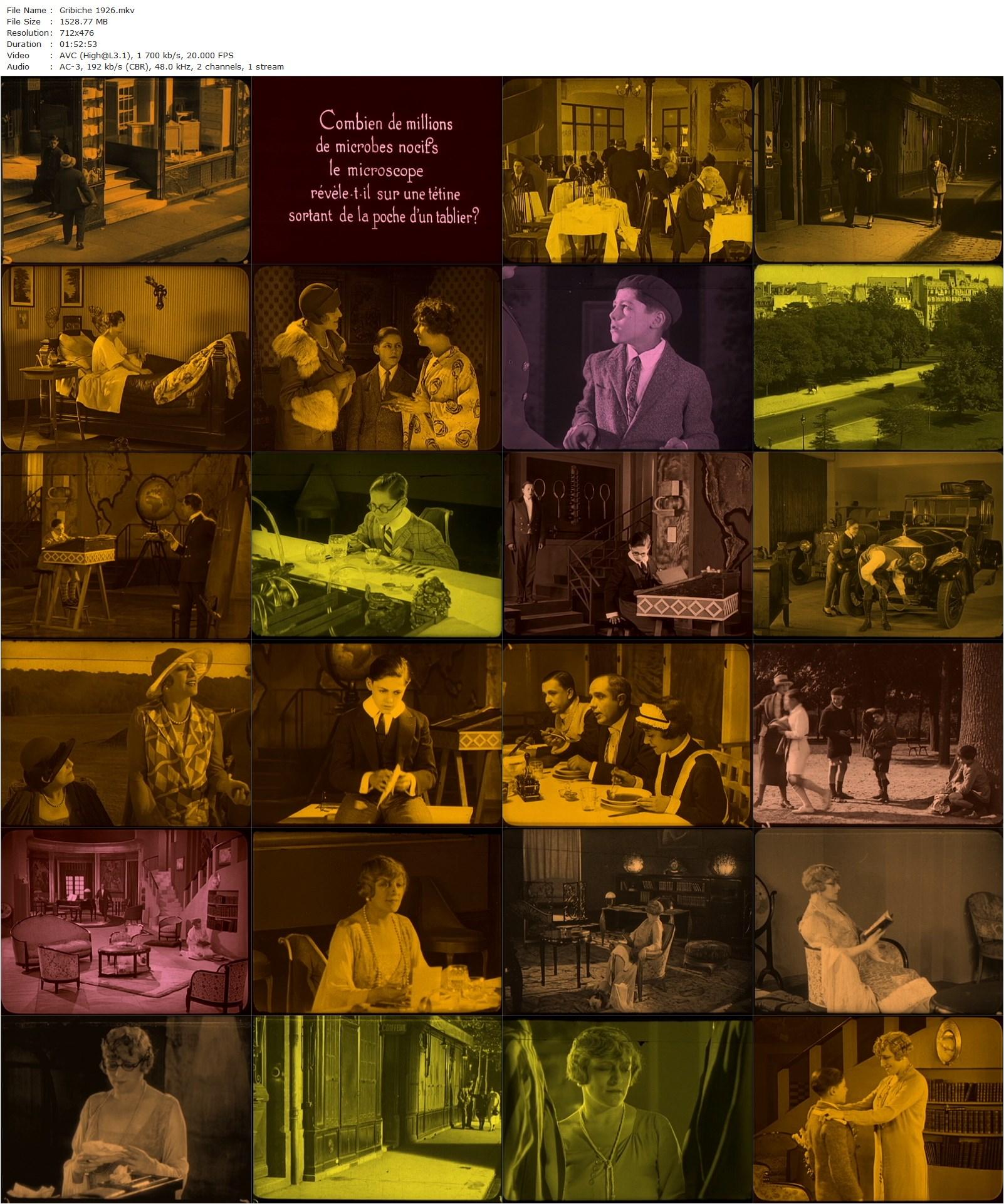 Mother of Mine AKA Gribiche (1926) Jacques Feyder, Jean Forest, Rolla Norman, Françoise Rosay-poster