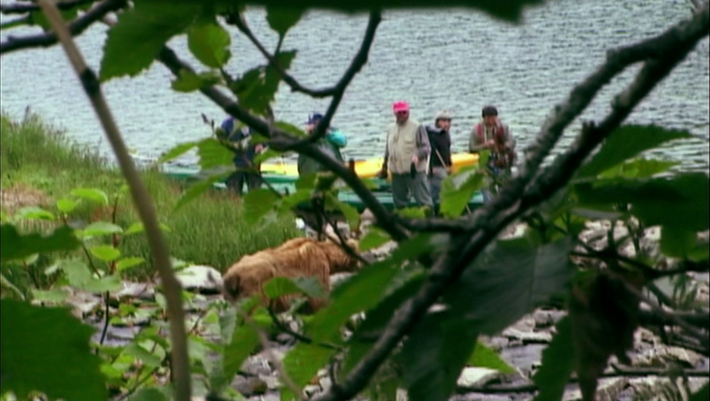 Werner Herzog - Grizzly Man (2005)-poster