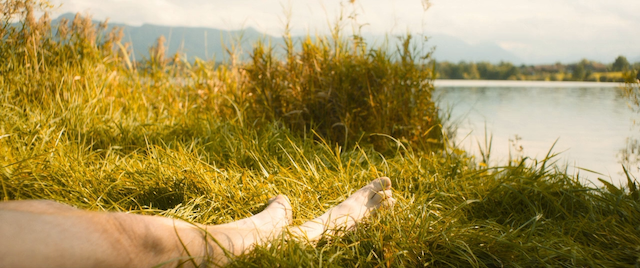 Grüner wird's nicht, sagte der Gärtner und flog davon (2018) by Florian Gallenberger-poster