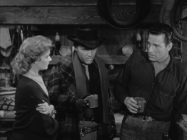 Gun Brothers (1956) Sidney Salkow, Buster Crabbe, Ann Robinson, Neville Brand-poster