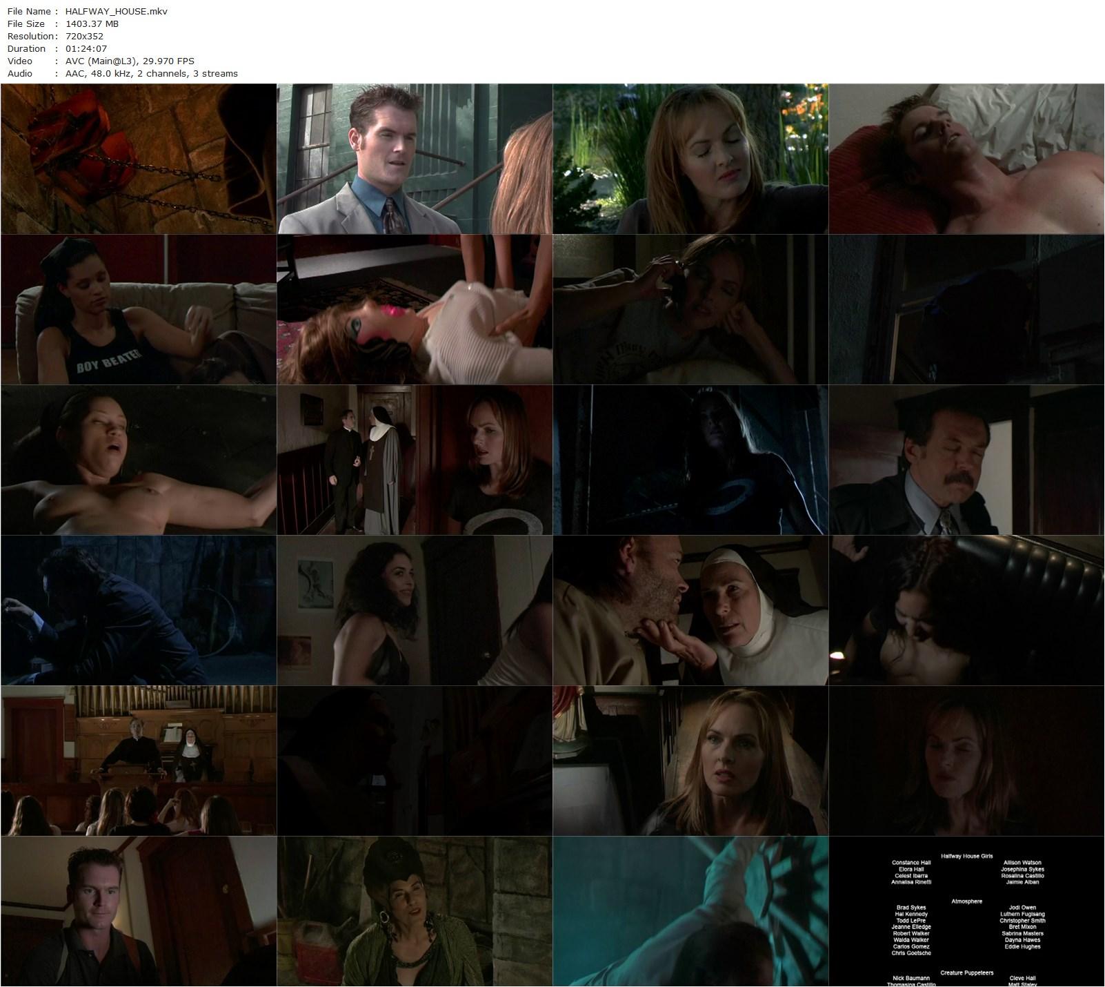 The Halfway House (2004) Kenneth J. Hall, Mary Woronov, Janet Tracy Keijser, Shawn Savage-poster