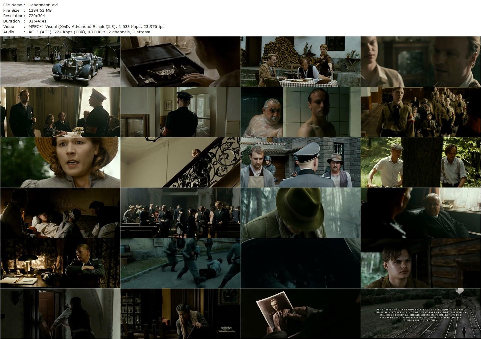 Habermann (2010) Juraj Herz, Mark Waschke, Karel Roden, Ben Becker-poster