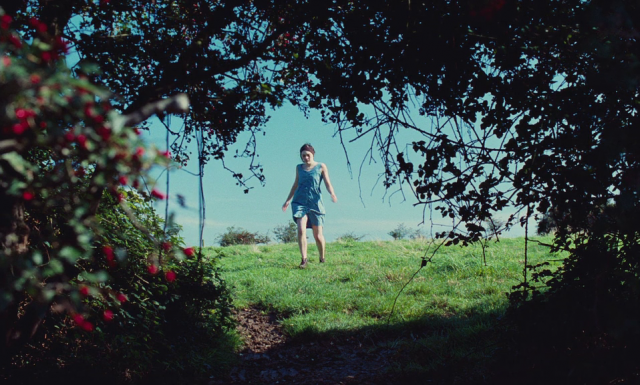 Bruno Dumont - Hadewijch (2009)-poster