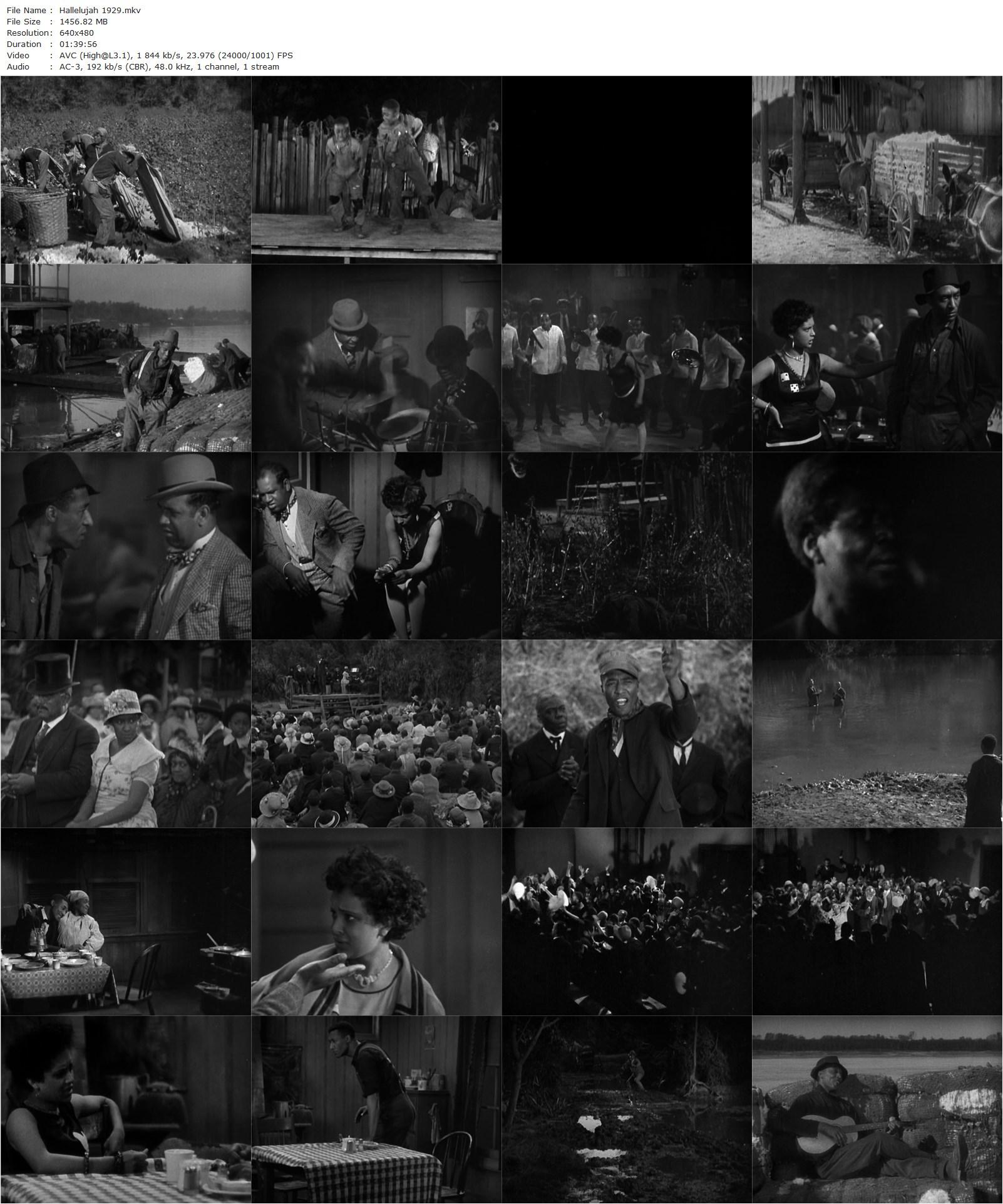 Hallelujah (1929) King Vidor, Daniel L. Haynes, Nina Mae McKinney, William Fountaine-poster