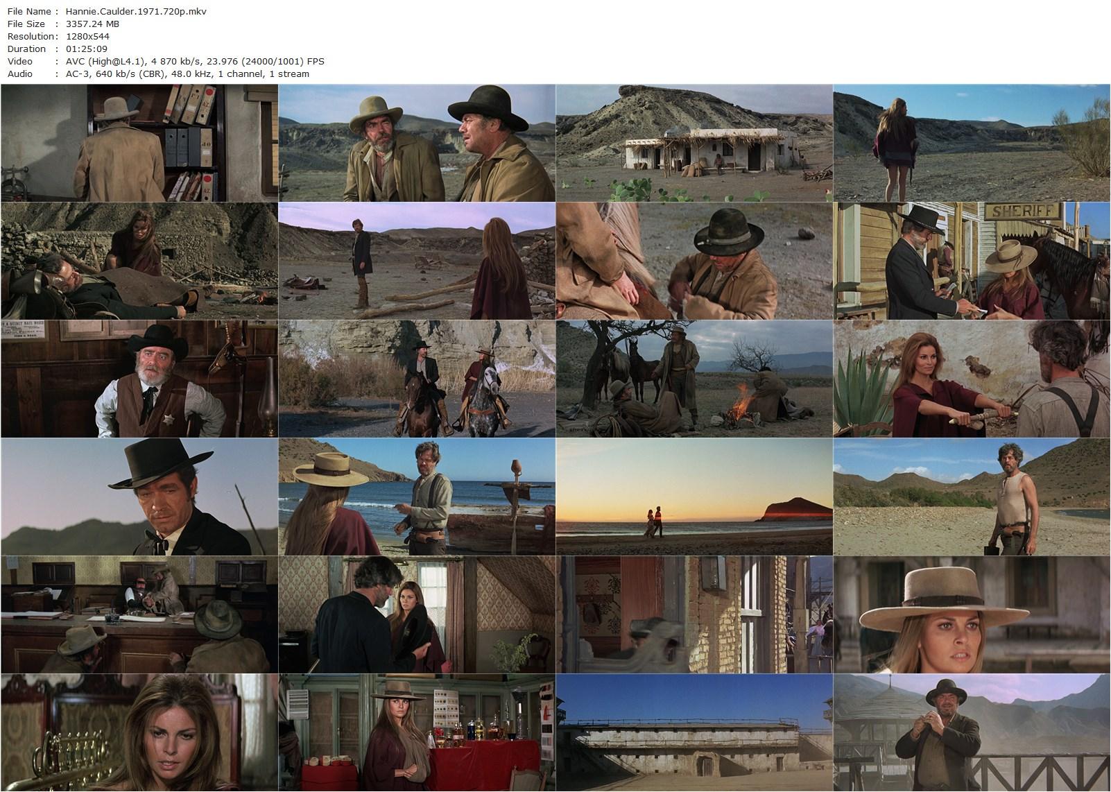 Hannie Caulder (1971) Burt Kennedy, Raquel Welch, Robert Culp, Ernest Borgnine-poster