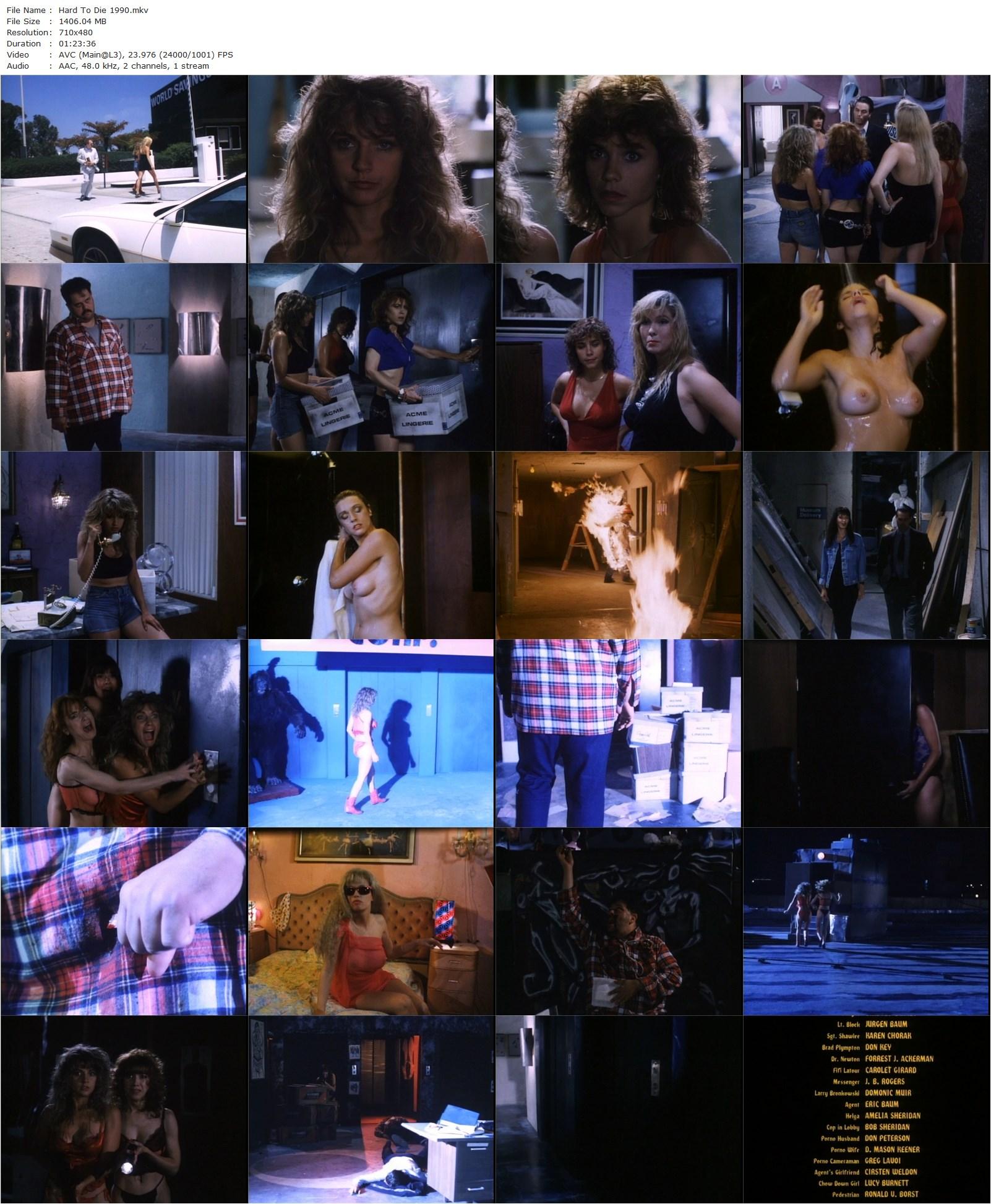 Hard to Die (1990) Jim Wynorski, Gail Thackray, Karen Mayo-Chandler, Deborah Dutch-poster