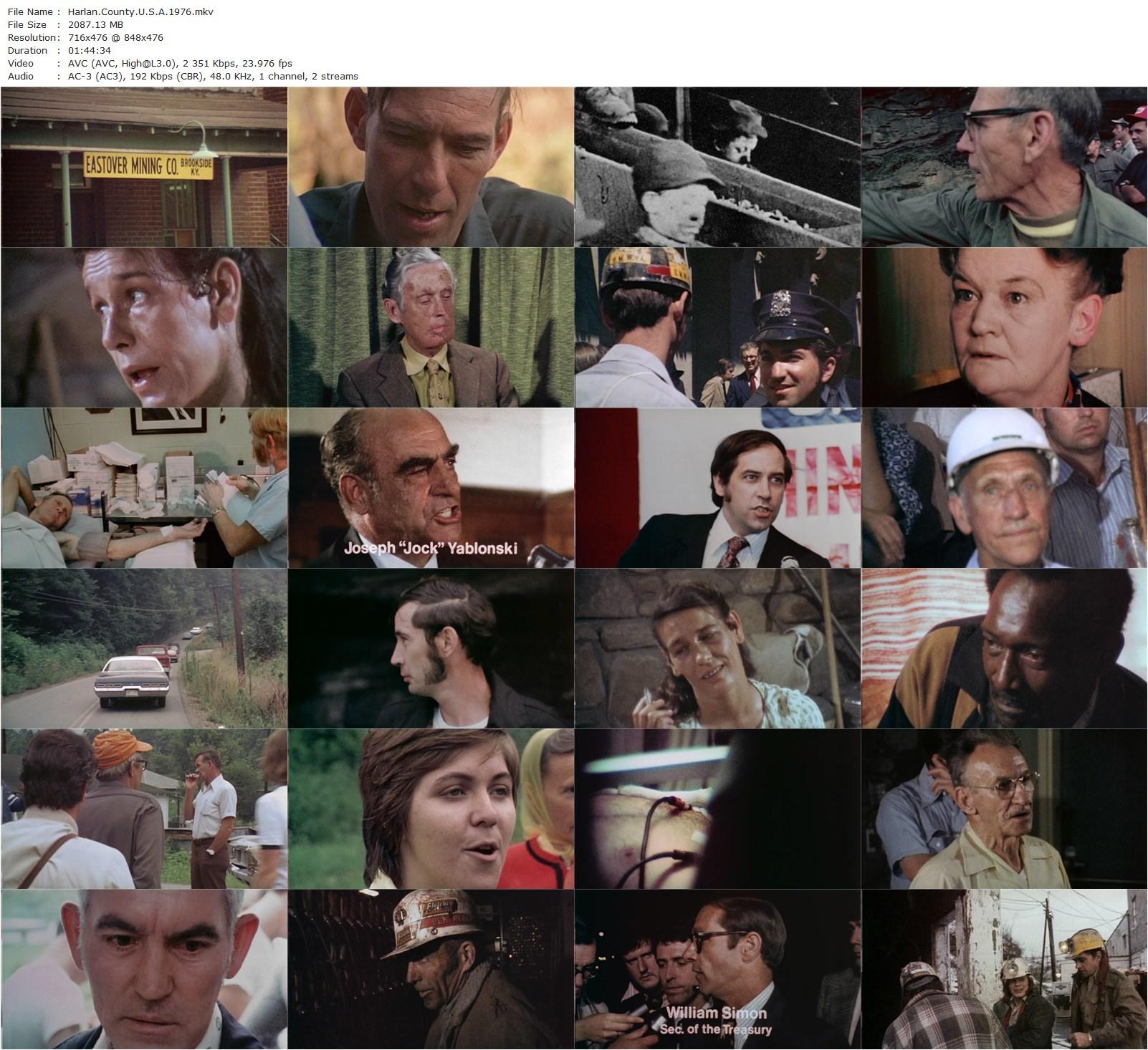 Harlan County U.S.A. (1976) Barbara Kopple, Norman Yarborough, Houston Elmore, Phil Sparks-poster