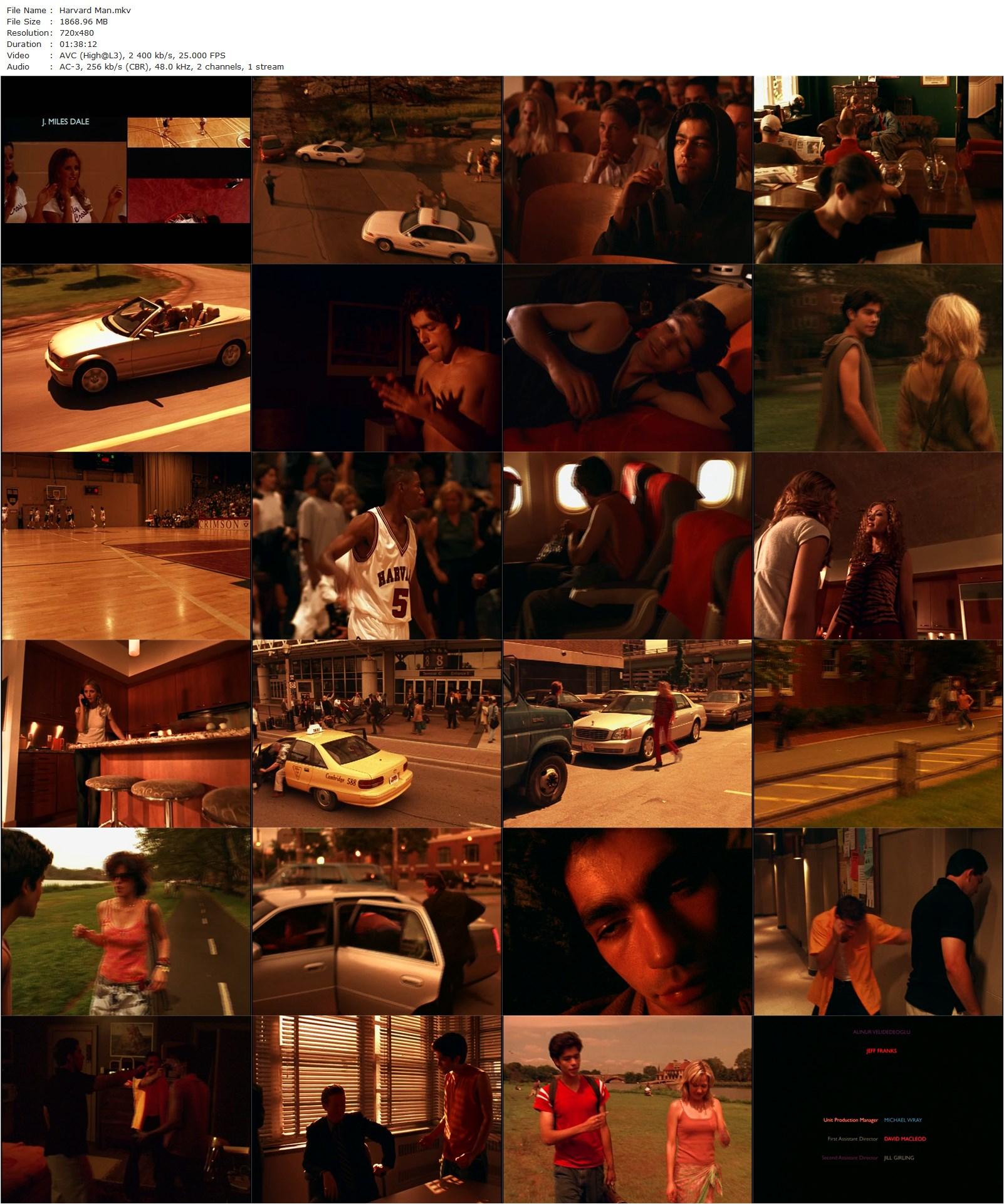 Harvard Man (2001) James Toback, Sarah Michelle Gellar, Adrian Grenier, Joey Lauren Adams-poster