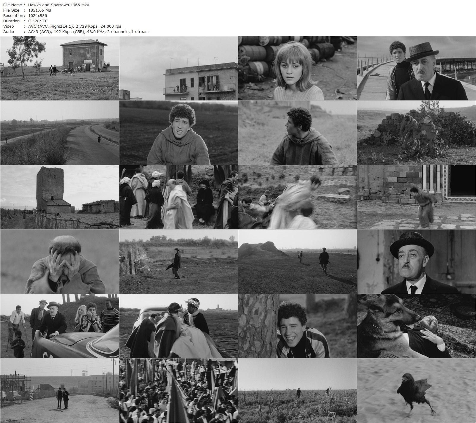 Hawks and Sparrows (1966) Pier Paolo Pasolini, Totò, Ninetto Davoli, Femi Benussi-poster