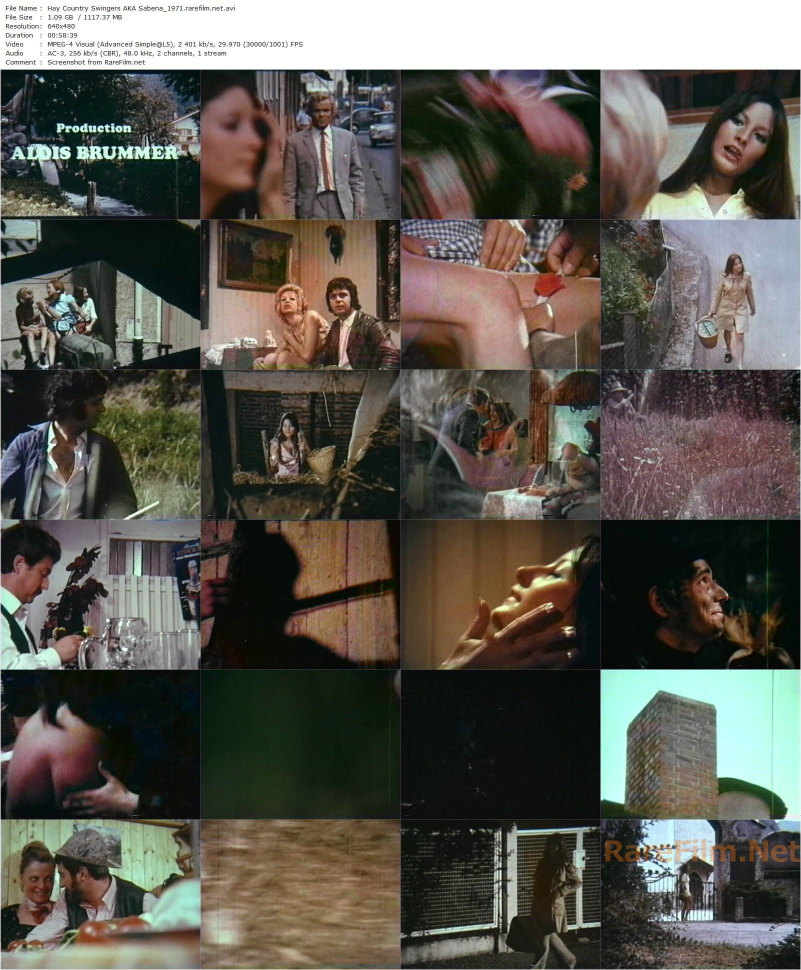 Hay Country Swingers / Beichte einer Liebestollen (1971) Alois Brummer, Karin Götz, Johannes Buzalski, Sandra Reni-poster