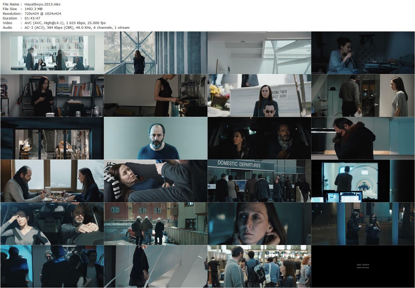 Lifelong (2013) Asli Özge, Defne Halman, Hakan Çimenser, Gizem Akman-poster