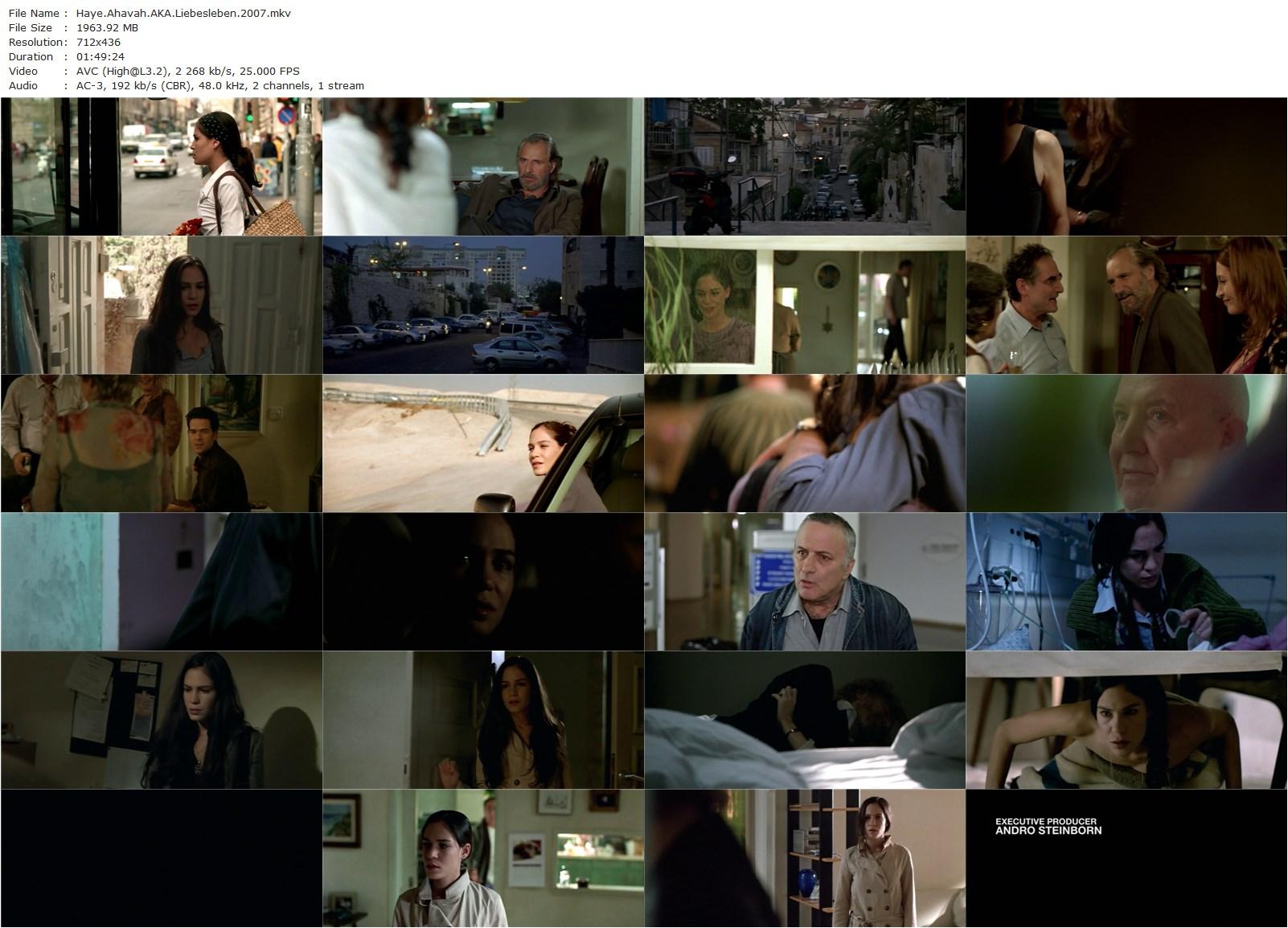 Love Life AKA Liebesleben (2007) Maria Schrader, Neta Garty, Rade Serbedzija, Tovah Feldshuh-poster