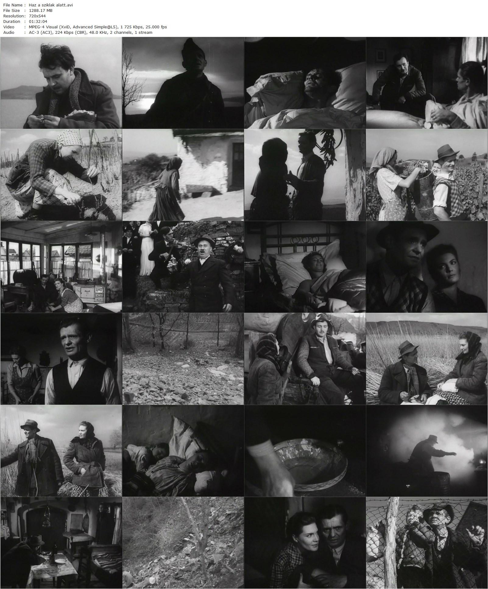 The House Under the Rocks (1958) Károly Makk-poster