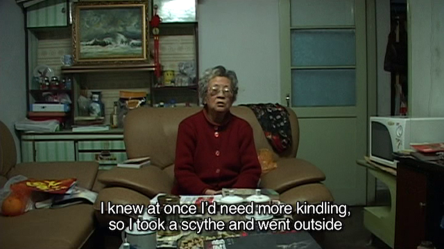 Bing Wang - He Fengming aka Fengming: A Chinese Memoir (2007)-poster