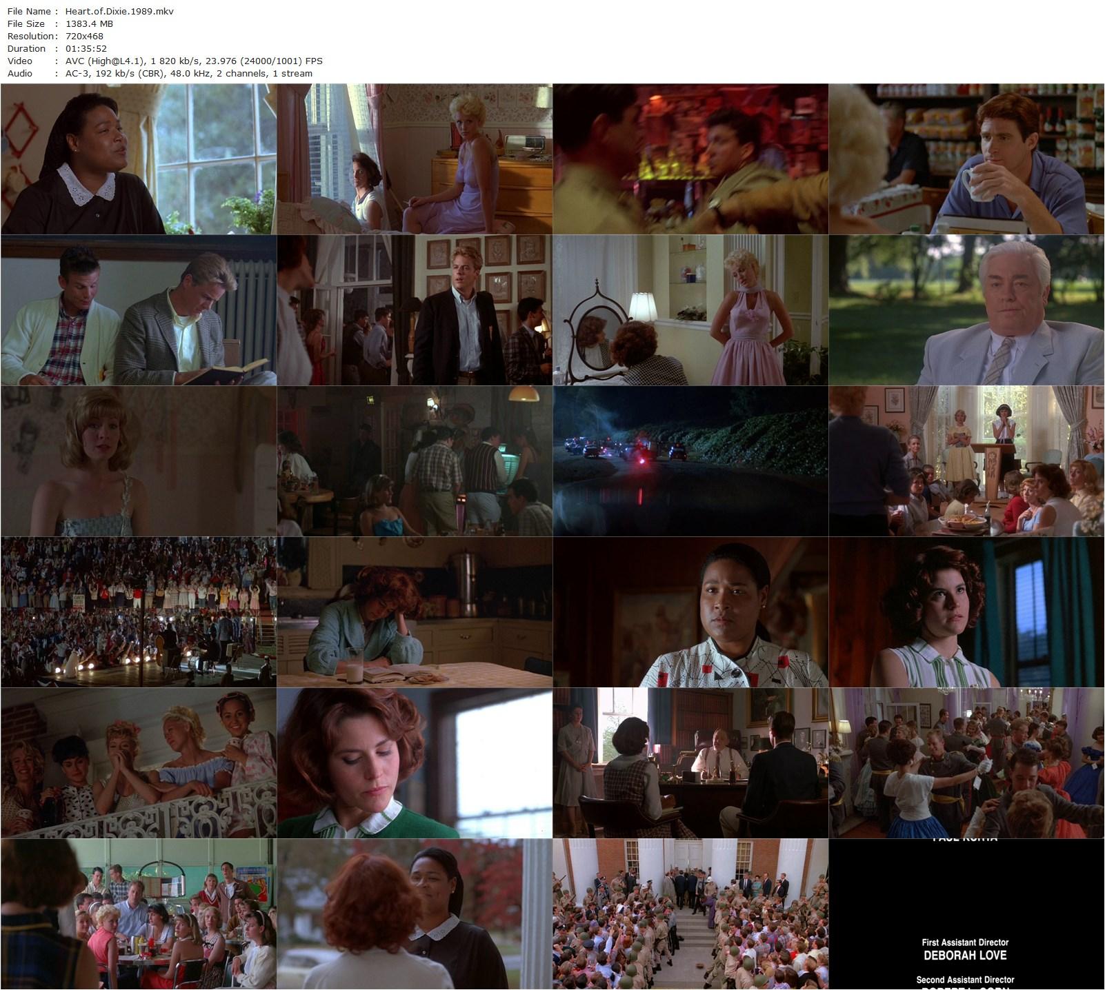 Heart of Dixie (1989) Martin Davidson, Ally Sheedy, Virginia Madsen, Phoebe Cates-poster