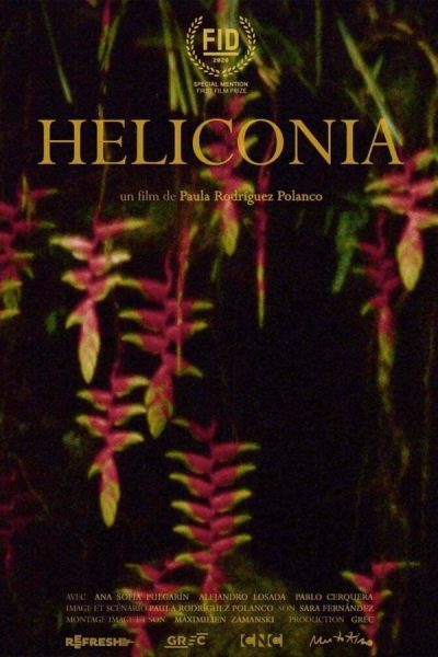 Polanco Rodríguez Paula – Heliconia (2020)