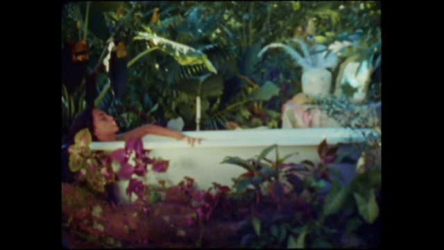 Polanco Rodríguez Paula - Heliconia (2020)-poster