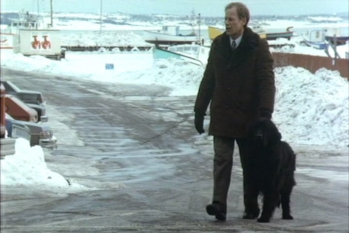 Mind Shadows / Hersenschimmen (1988) Heddy Honigmann, Joop Admiraal, Marja Kok, Melanie Doane-poster