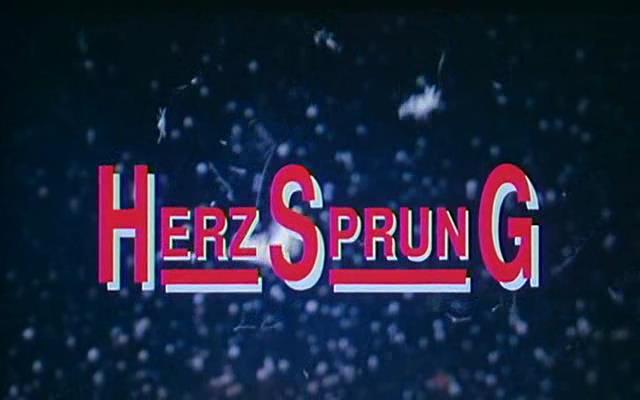 Herzsprung (1992) Helke Misselwitz, Memdu Aki, Jaleh Amini, Cesare Basile-poster