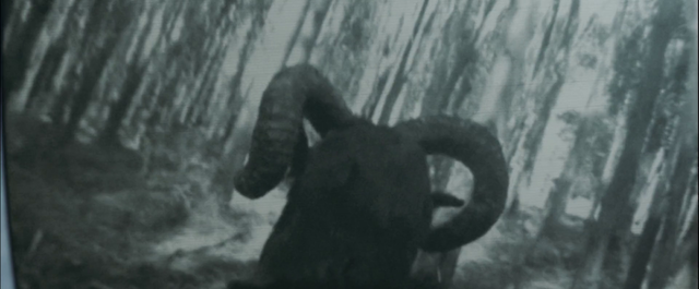 Heyvan (2017)-poster