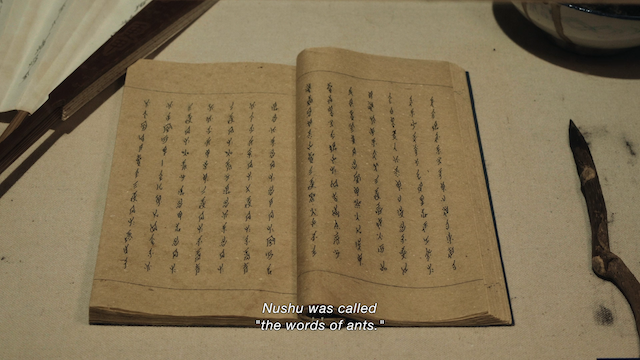 Hidden Letters (2022) by Violet Du Feng-poster