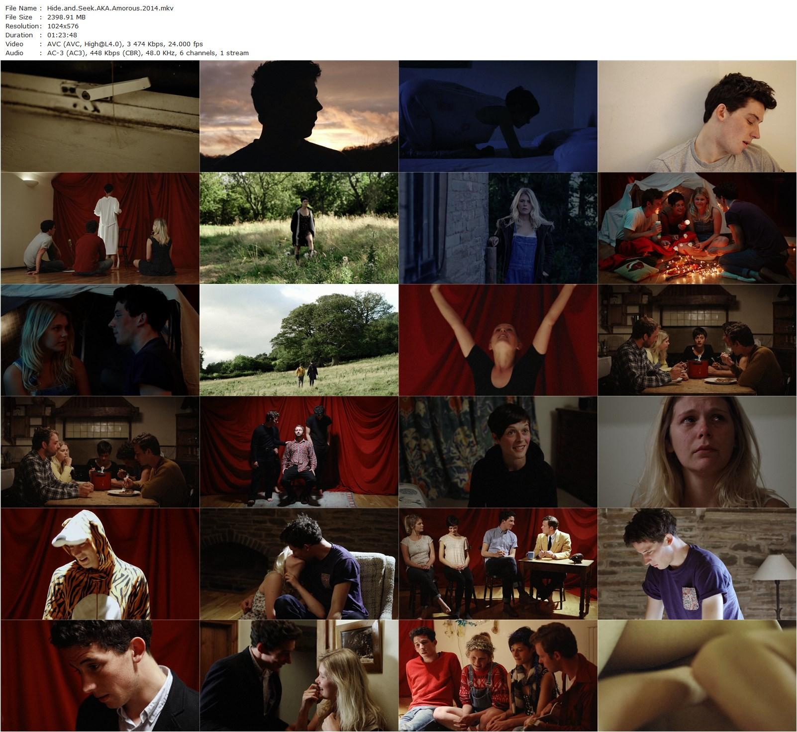 Hide and Seek (2014) Joanna Coates, Josh O’Connor, Hannah Arterton, Rea Mole-poster