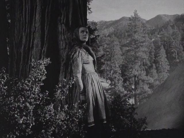 Hitler's Madman (1943) by Douglas Sirk-poster