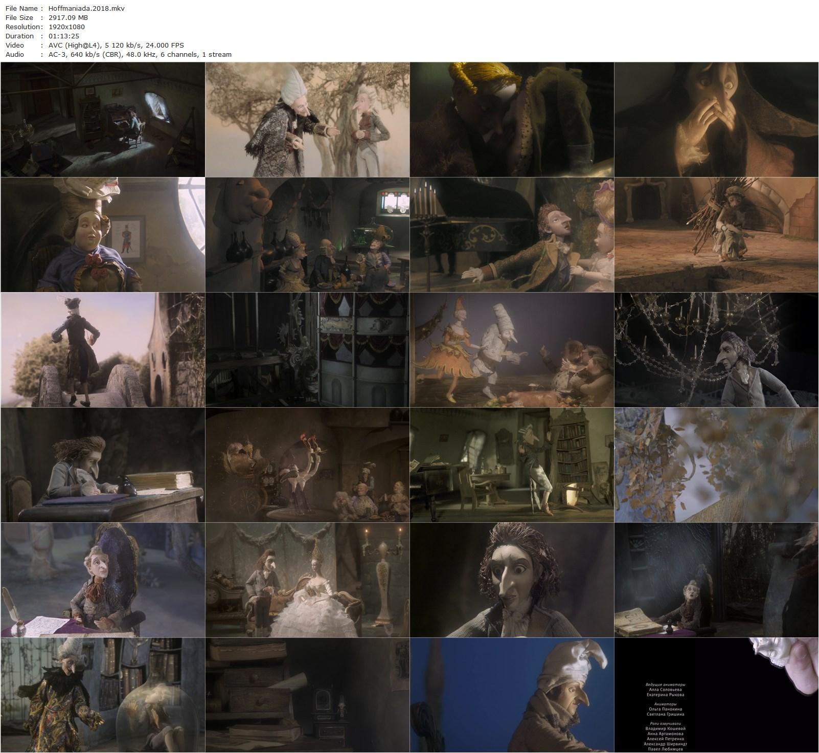 Hoffmaniada (2018) Stanislav Sokolov, Anna Artamonova, Natalya Fisson, Vladimir Koshevoy-poster
