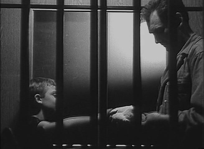 Holubice / The White Dove (1960) Frantisek Vlácil, Katerina Irmanovová, Anna Pitasová, Karel Smyczek, Drama-poster