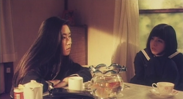 Honban rezu- Hazukashii taii (1994) | Worldscinema | Download Free-poster