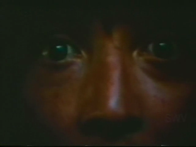 Horny Hobo (1969) by Something Weird Video-poster