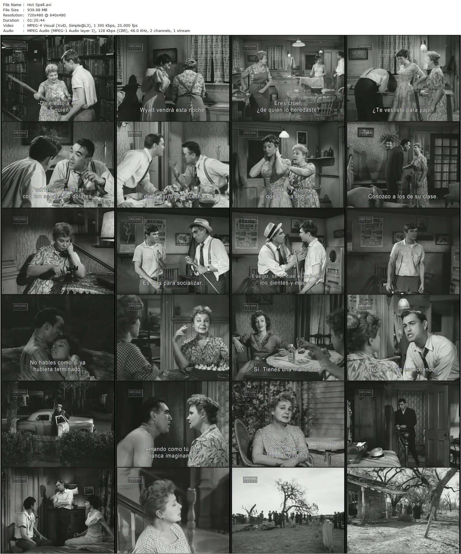 Hot Spell (1958) Daniel Mann, George Cukor, Shirley Booth, Anthony Quinn, Shirley MacLaine-poster