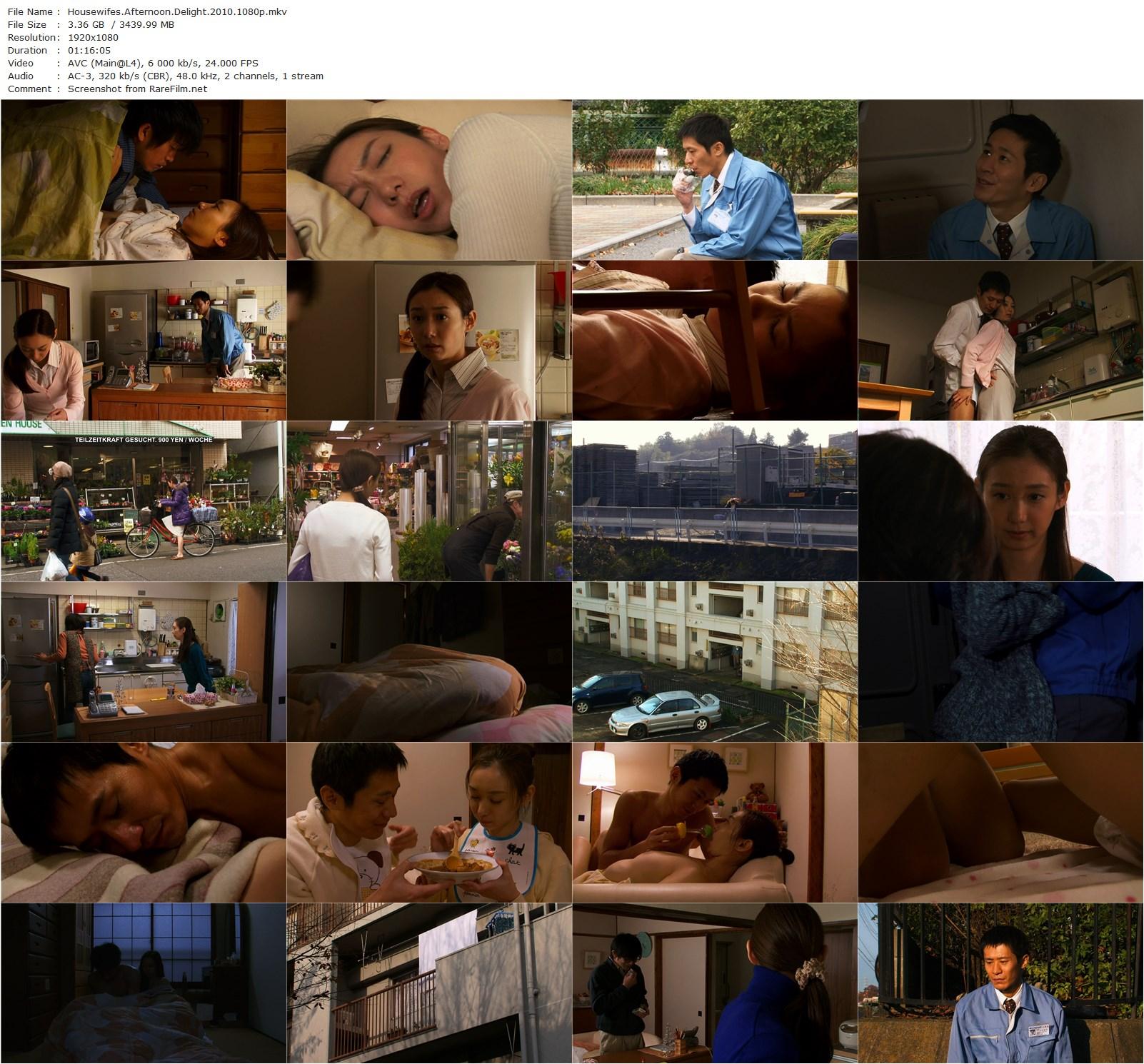 Housewife’s Afternoon Delight (2010)-poster