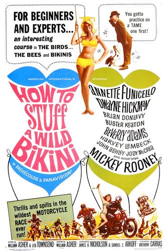 How to Stuff a Wild Bikini (1965) William Asher, Annette Funicello, Dwayne Hickman, Brian Donlevy