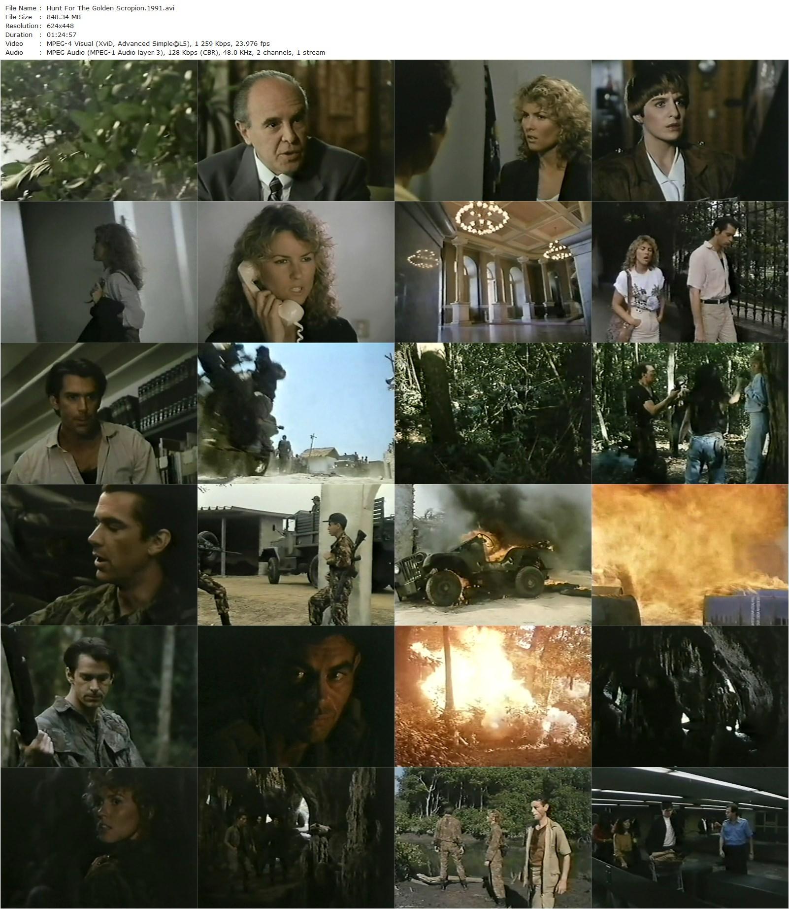 Hunt for the Golden Scorpion AKA Caccia allo scorpione d’oro (1991) Umberto Lenzi, Andy J. Forest, Christine Leigh, David Brandon-poster