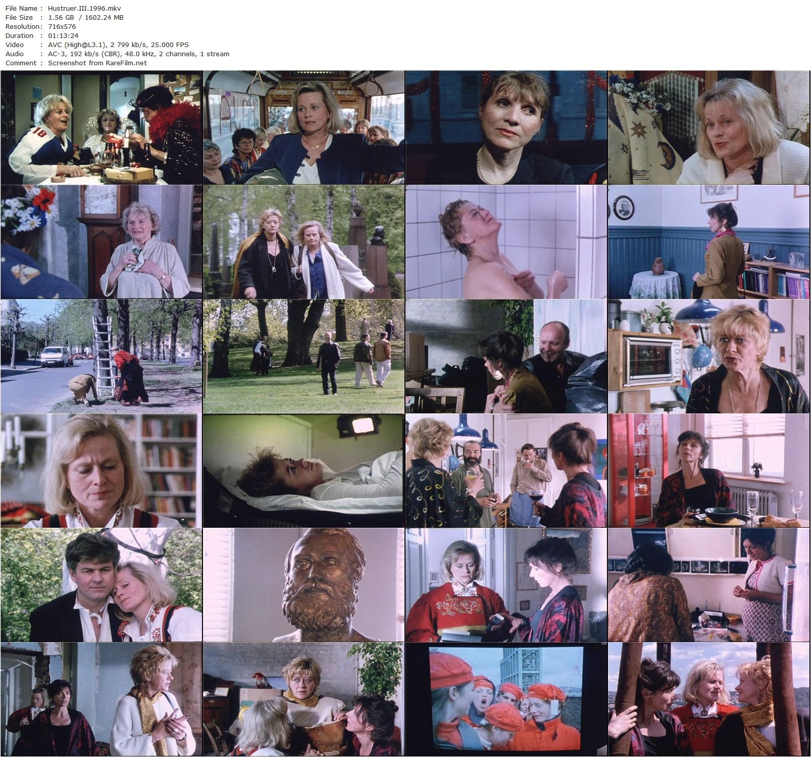 Wives III / Hustruer III (1996) Anja Breien-poster