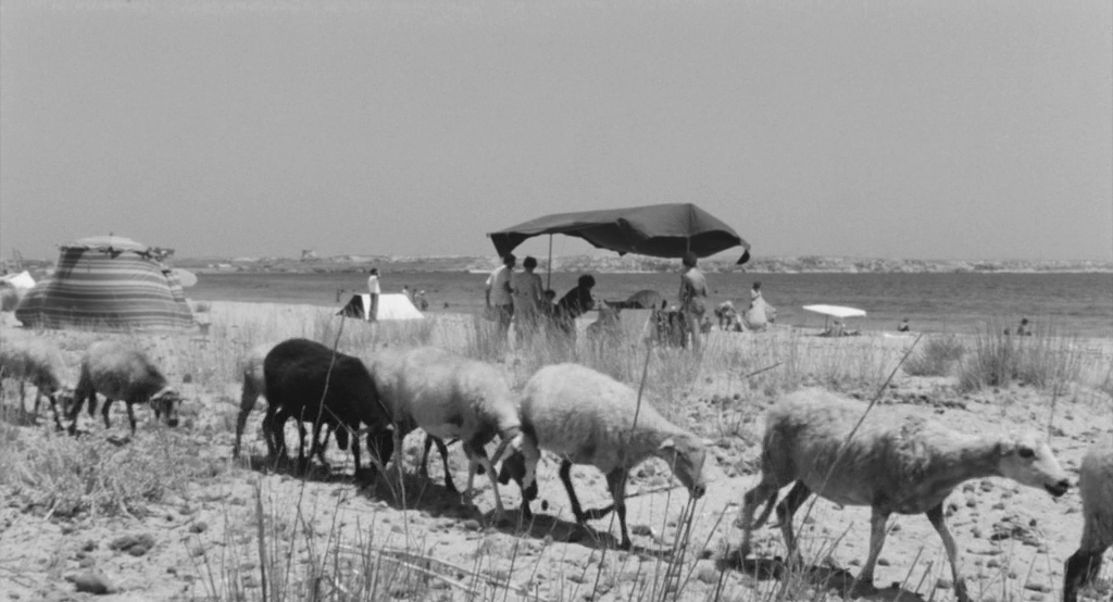 I fidanzati (1963) | worldscinema.org-poster