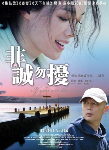 If You Are the One (2008) Xiaogang Feng, You Ge, Shu Qi, Wei Fan