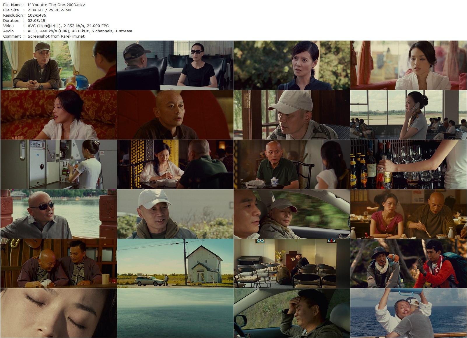 If You Are the One (2008) Xiaogang Feng, You Ge, Shu Qi, Wei Fan-poster