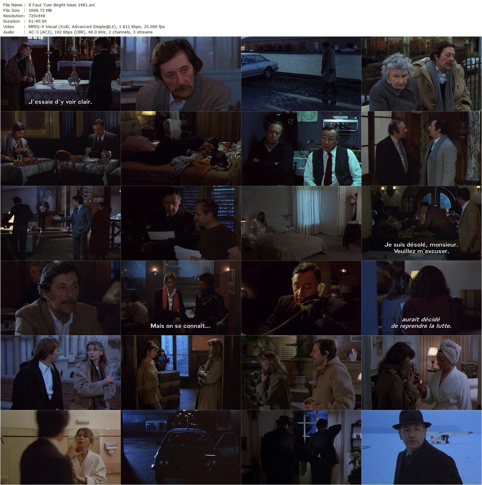 Birgit Haas Must Be Killed AKA Il faut tuer Birgitt Haas (1981) Laurent Heynemann, Philippe Noiret, Jean Rochefort, Lisa Kreuzer-poster