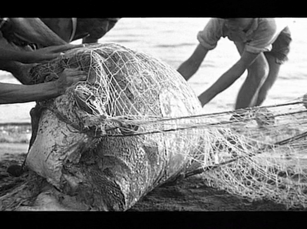 Martin Scorsese - Il Mio viaggio in Italia AKA My Voyage to Italy (1999)-poster