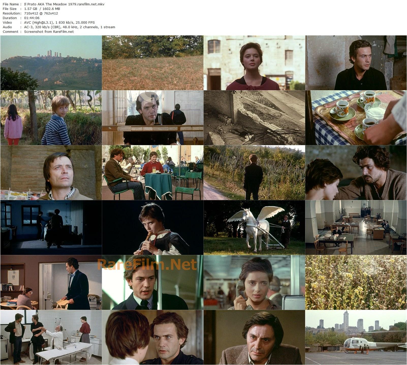 The Meadow / Il prato (1979) Paolo Taviani, Vittorio Taviani, Michele Placido, Saverio Marconi, Isabella Rossellini-poster