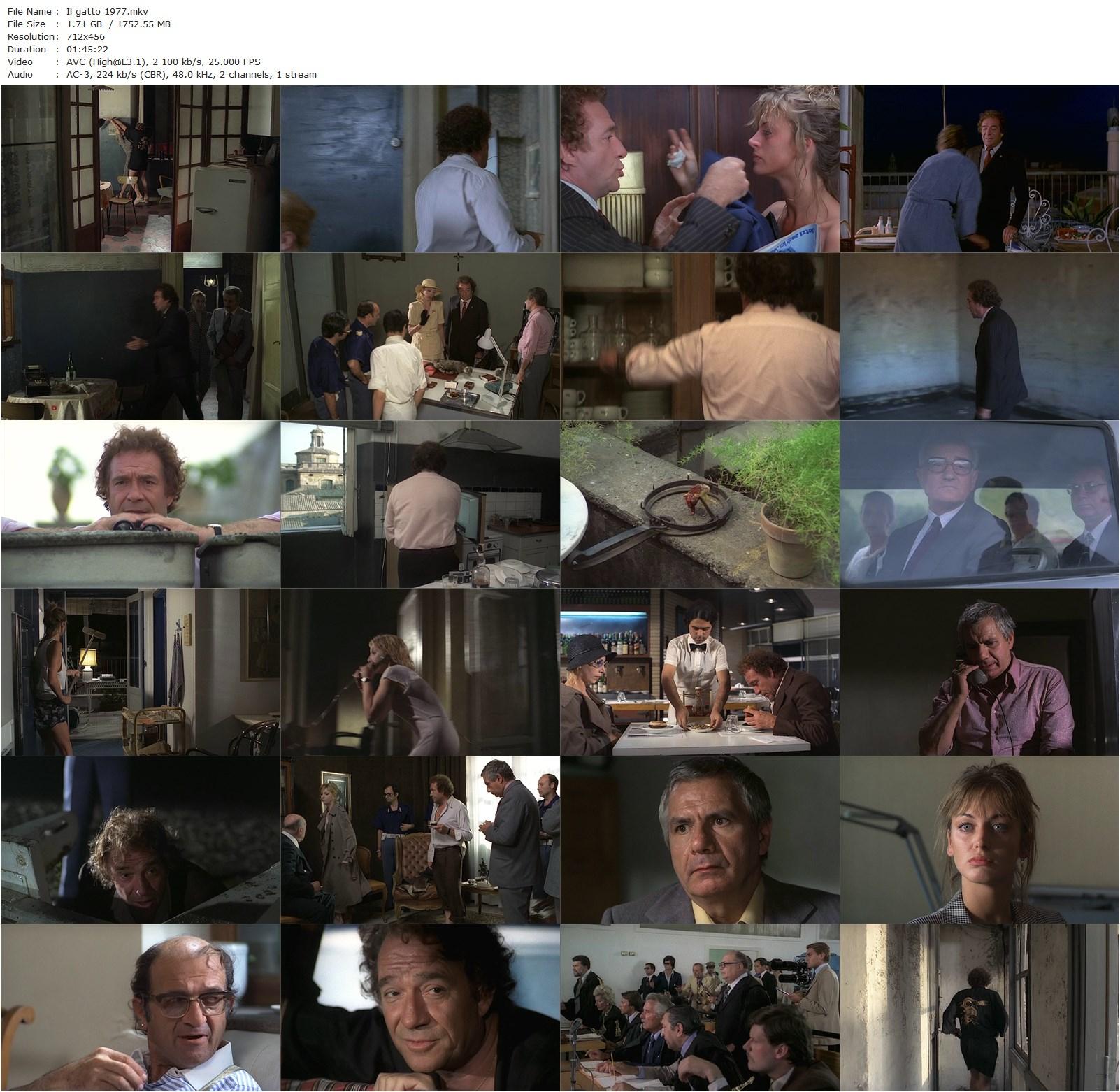 The Cat AKA Il gatto (1977) Luigi Comencini, Ugo Tognazzi, Mariangela Melato, Michel Galabru-poster